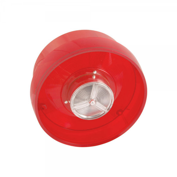 Rubber The Right Way - Taillight Lens