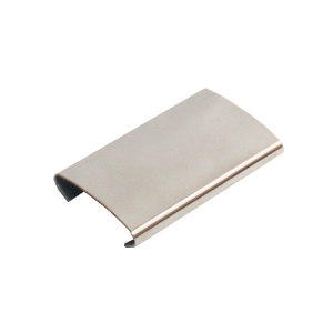 Windshield Molding Cover