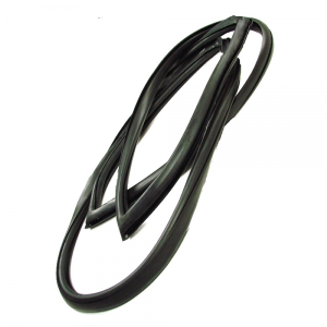 Windshield Seal