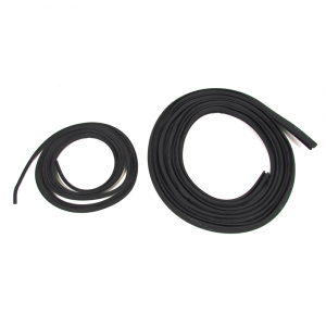 Windshield Seal Kit