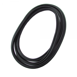 Windshield Seal