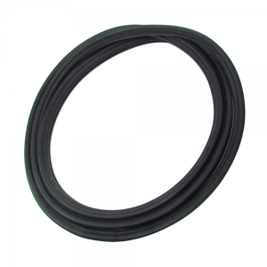 Windshield Seal