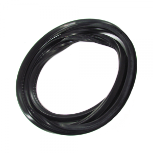 Windshield Seal