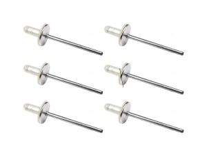 Windshield Trim / Molding Clip Kit - 6 pc.