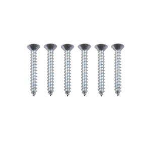 Windshield Garnish Molding Screw - 6 pc.