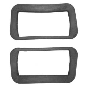 Fog Light Housing to Body Gasket