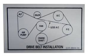5.0 V8 Drive Belt Decal