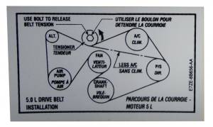 5.0 V8 Drive Belt Decal