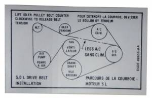 5.0 V8 Drive Belt Decal