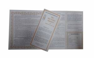 New Vehicle Warranty / Protection Plan