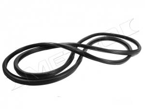 Rear Fixed Quarter Window Seal