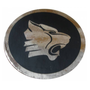 Air Cleaner Snorkel Decal