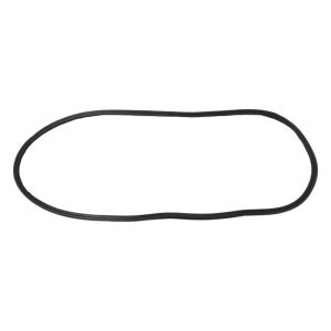 Windshield Seal