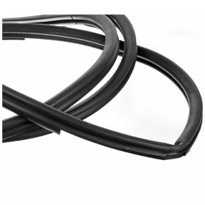 Toyota Rear Door Seal